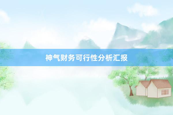 神气财务可行性分析汇报