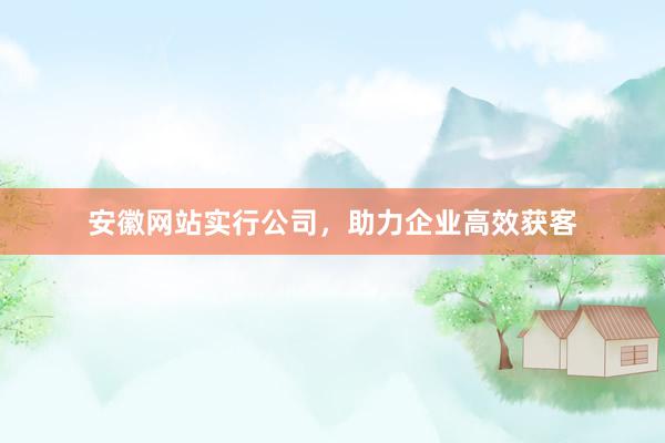 安徽网站实行公司，助力企业高效获客