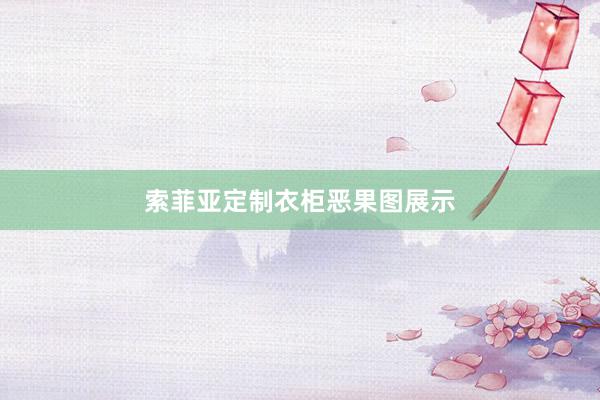 索菲亚定制衣柜恶果图展示