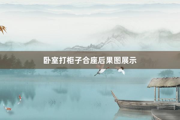 卧室打柜子合座后果图展示
